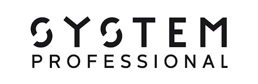 SYSTEM PROFESSIONAL