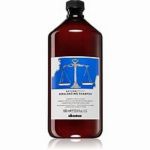 DAVINES Rebalancing Shampoo 1000ml Riequilibrante