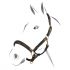 Cavezza Cuoio Equestro Superior