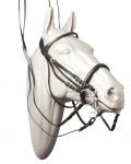 Briglia da Dressage c/ doppia redine