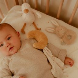 Little Goose & Baby Bunny