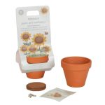 Vasetto con semi di girasole