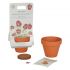 Pack Vasetti con semi di fragole