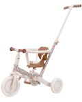 Kaya-Balance tricycle PARENTS - 4 in 1