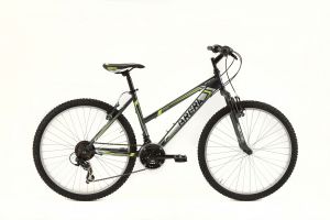 BICICLETTA BRERA 24 DONNA INFINITY MTB 18V