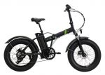 BICI ELETTRICA WAYEL EBIG 20 2ND GEN - NERA VERDE + BATTERIA ST SILVER FISH 36V 13AH BLACK