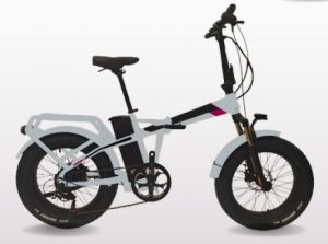 BICI ELETTRICA SKORPIO FAT 20 GRIGIO OPACO