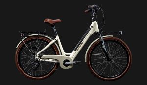 BICICLETTA LOMBARDO 26 TRASTEVERE AGEVOLE GREY 7032/BROWN MATT 44