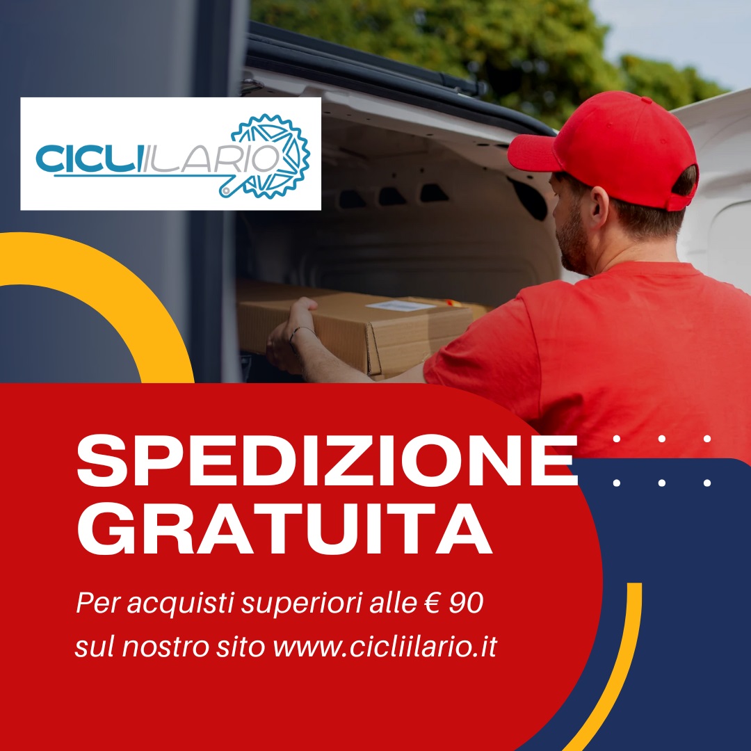 Spedizione gratuita 