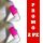 Arm band FS