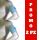 Fascia Braccio LB