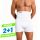 Boxer / Fascia Stomia Bianco