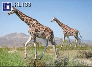 KL133