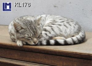 KL178