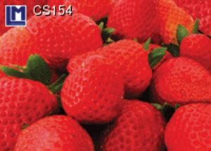 CS154