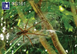 CS161