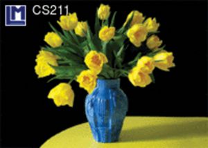 CS211