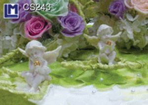 CS243