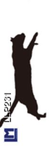 LLP231