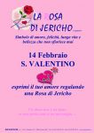 Cartello A4 Rosa di Jericho San Valentino