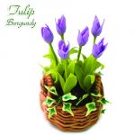 Tulipano Burgundy