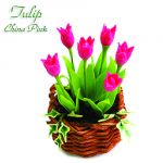Tulipano China Pink