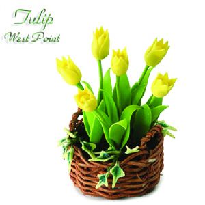 Tulipano West Point