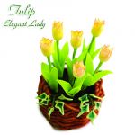 Tulipano Elegant Lady