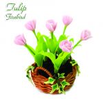 Tulipano Firebird