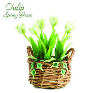 Tulipano Spring Green