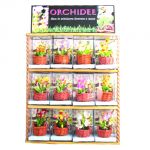 Espositore 24 Orchidee in miniatura