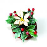  Stella di Natale bianca con agrifoglio