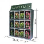  Espositore 24 Cactus in miniatura