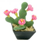 Opuntia rosa
