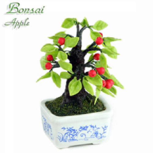 Bonsai Melo (Topo)