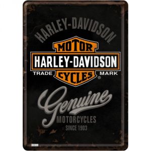 10124 Harley Davidson - Genuine Logo
