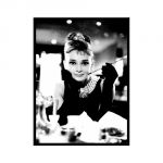 14046 Audrey Hepburn