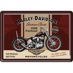 10198 Harley Davidson