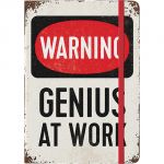 54003 Genius at Work