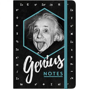 54008 Einstein - Genius Notes