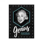 14395 Einstein - Genius Material