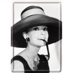 10166 Audrey Hepburn