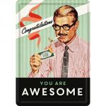 10287 Congratulations - You Are Awesome