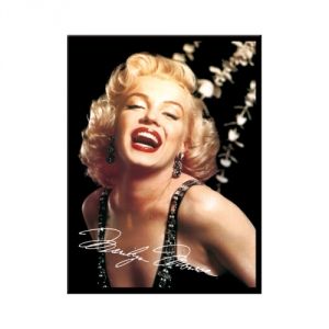 14072 Marilyn Monroe