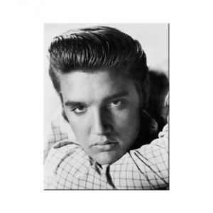 14236 Elvis Portrait