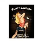 14333 Harley Davidson