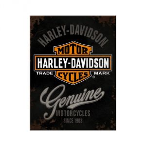 14225 Harley Davidson - Genuine