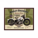 14224 Harley Davidson