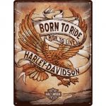 23317 Harley Davidson - Born to Ride Eagle