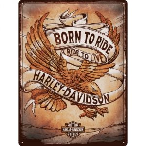 23317 Harley Davidson - Born to Ride Eagle